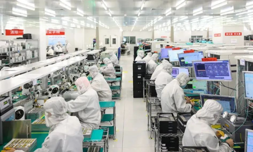宜昌沛林景观苗木秋季移栽成活率提升关键技术要点