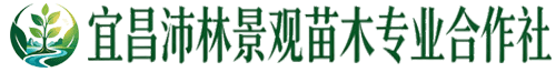 宜昌沛林景观苗木专业合作社